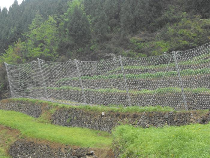 13392110.jpg 13392110.jpg