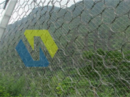 14274402156577452.jpg 14274402156577452.jpg